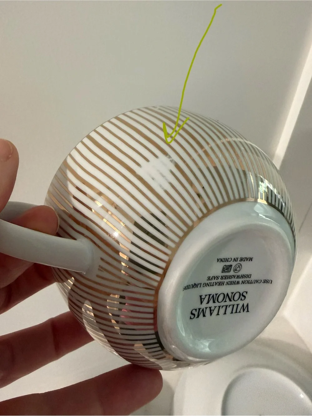 Williams Sonoma Limone Dinnerware